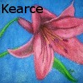 TaraKearce